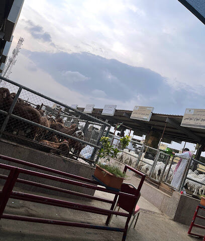 The Harri Farm - حري المزرعة - Jeddah - +966 53 940 8080