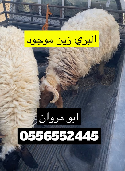 ابو مروان للذبايح - Saudi Arabia|Tabuk 47912|Alaziziyah Alqadimah